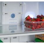 Nevera-Challenger-Glass-No-Frost--360-Litros-Rojo-CR-360