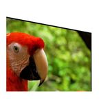 Televisor-challenger-58-pulgadas-uhd