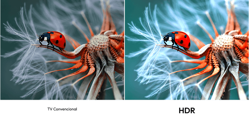 UHD65KG85BTGOOGLETVT212